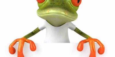 frog into prince
