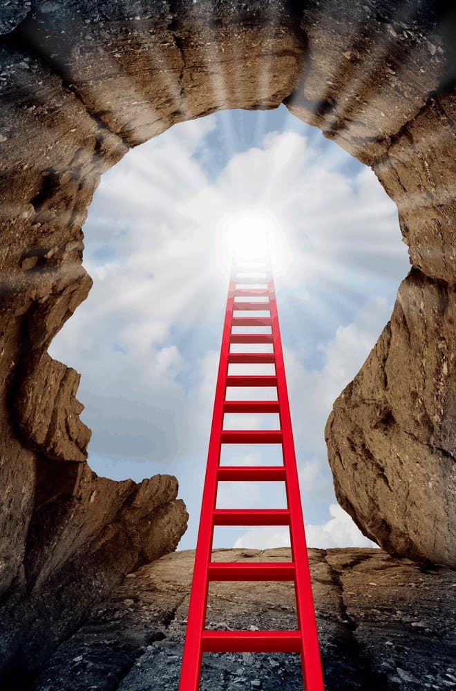 executive coaching - climb the ladder to success