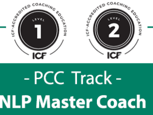 Executive Coach PCC Track Level 2 - Installments